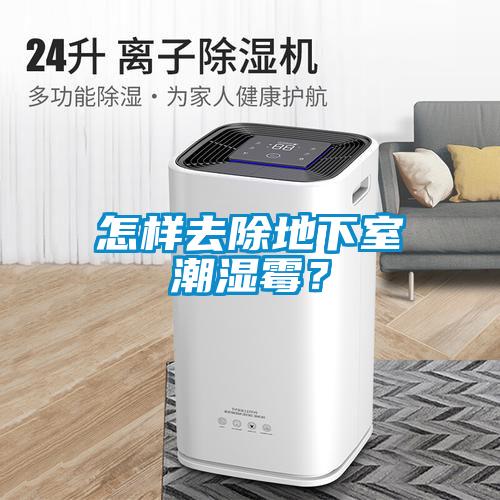 怎樣去除地下室潮濕霉<div   id=