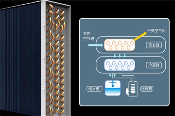 形同質(zhì)異<div   id=