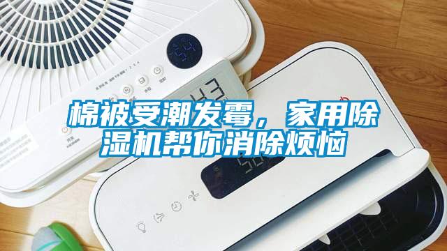 棉被受潮發(fā)霉,家用除濕機幫你消除煩惱