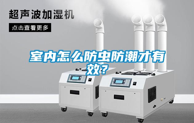 室內(nèi)怎么防蟲防潮才有效<div   id=