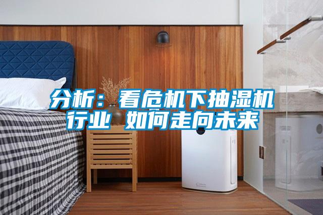 分析:看危機(jī)下抽濕機(jī)行業(yè) 如何走向未來(lái)