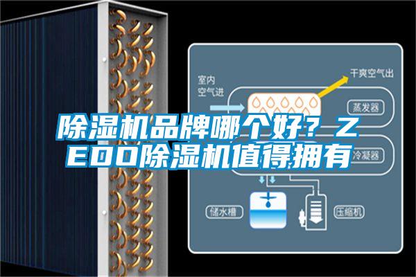 除濕機(jī)品牌哪個好<div   id=