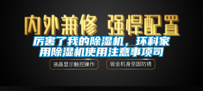 厲害了我的除濕機(jī)<div   id=