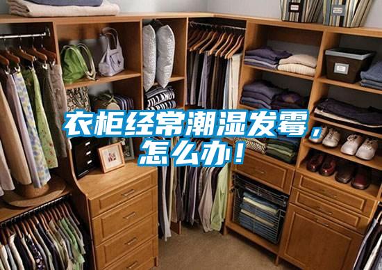 衣柜經(jīng)常潮濕發(fā)霉<div   id=