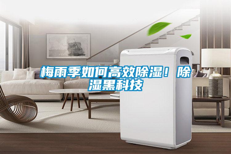 梅雨季如何高效除濕<div   id=