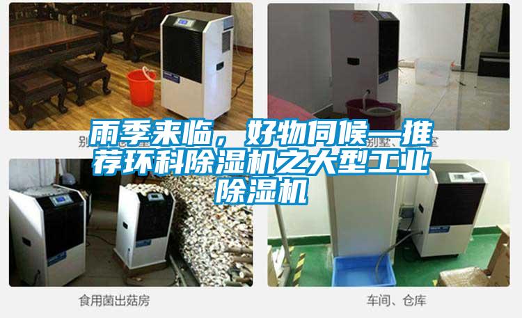 雨季來臨<div   id=