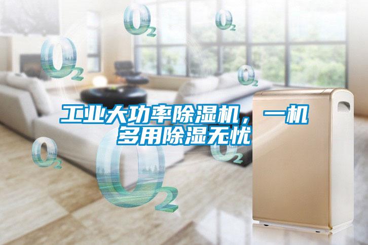 工業(yè)大功率除濕機(jī)<div   id=