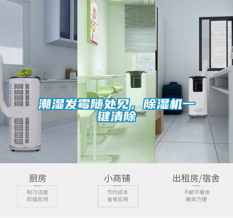 潮濕發(fā)霉隨處見,除濕機一鍵清除