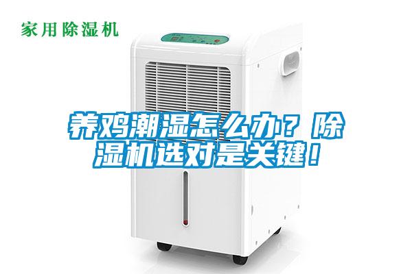 養(yǎng)雞潮濕怎么辦？除濕機(jī)選對是關(guān)鍵<div   id=
