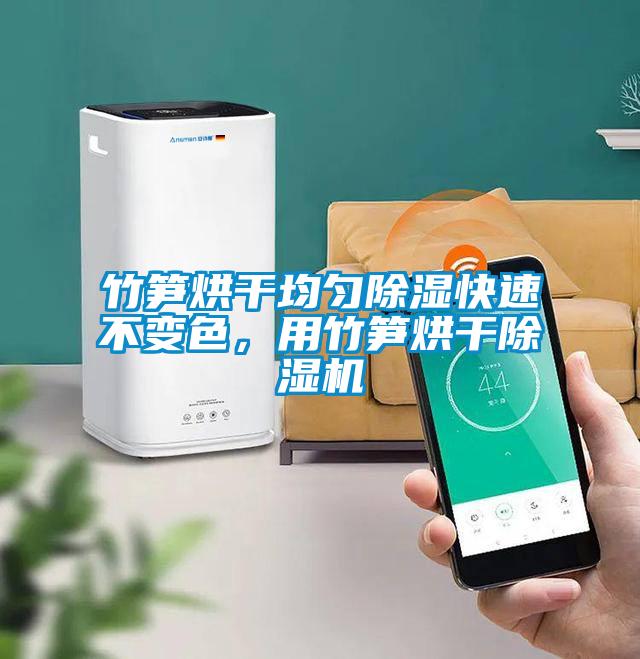 竹筍烘干均勻除濕快速不變色<div   id=