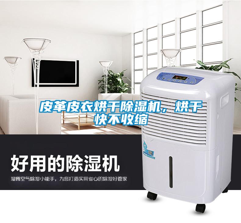 皮革皮衣烘干除濕機(jī)<div   id=