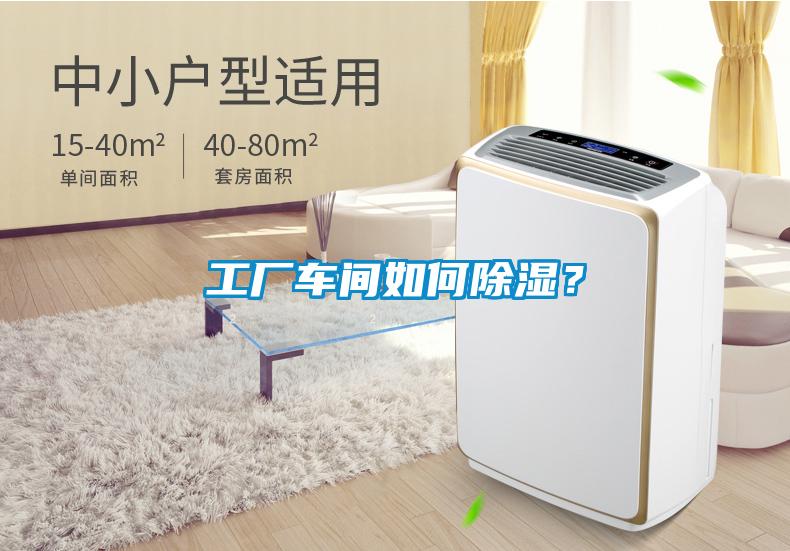 工廠車間如何除濕<div   id=
