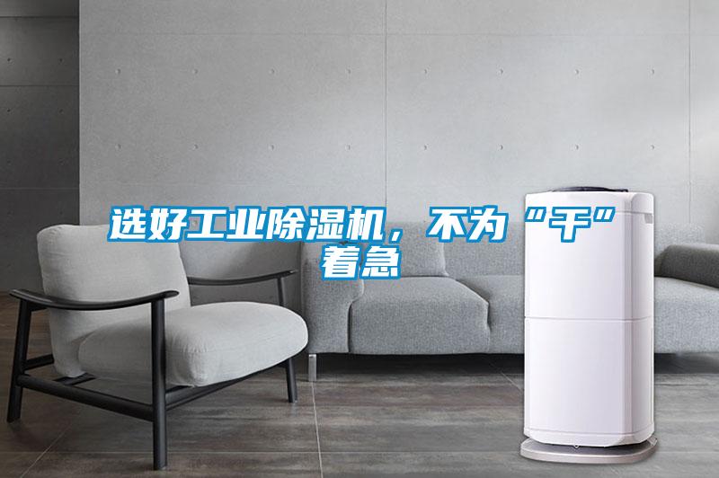 選好工業(yè)除濕機(jī)<div   id=