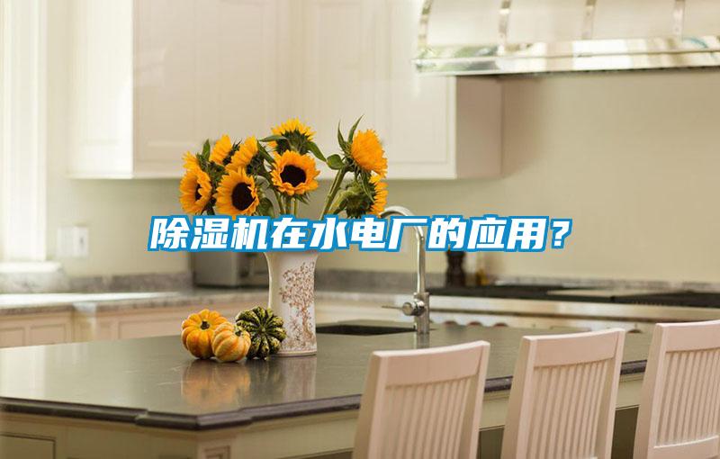 除濕機在水電廠的應(yīng)用?