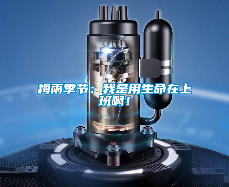 梅雨季節(jié)：我是用生命在上班啊<div   id=