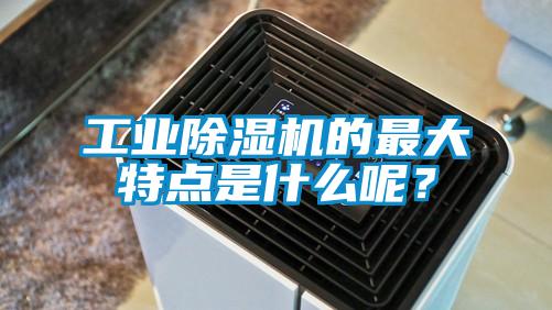 工業(yè)除濕機的最大特點是什么呢<div   id=