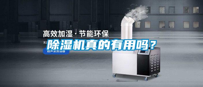 除濕機(jī)真的有用嗎<div   id=