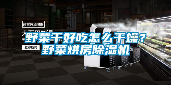 野菜干好吃怎么干燥<div   id=