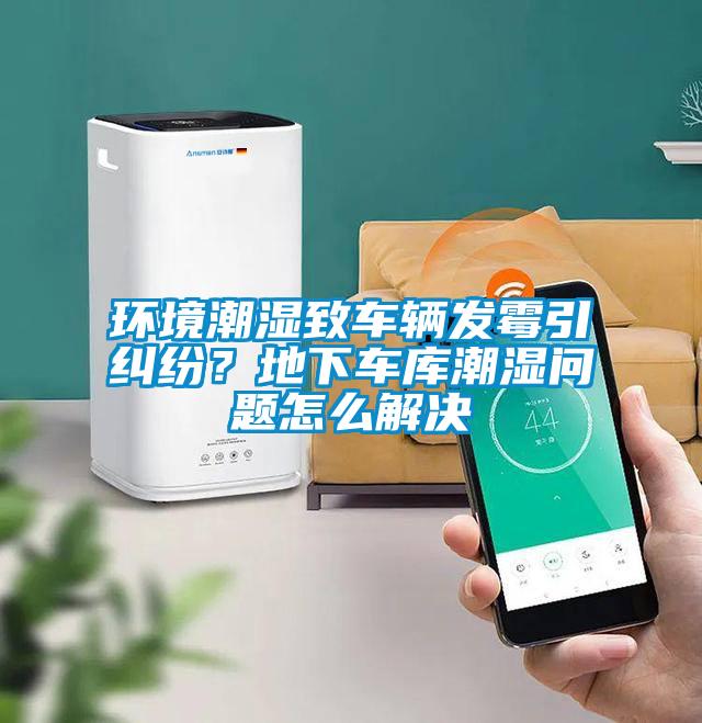 環(huán)境潮濕致車輛發(fā)霉引糾紛<div   id=