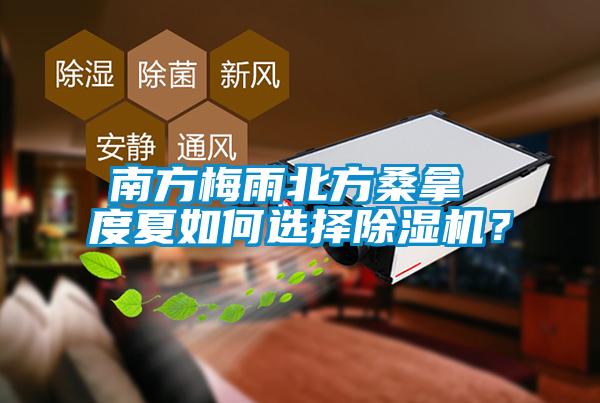 南方梅雨北方桑拿 度夏如何選擇除濕機(jī)？