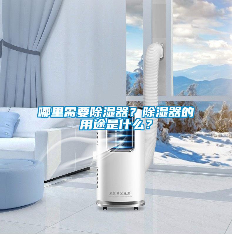 哪里需要除濕器<div   id=