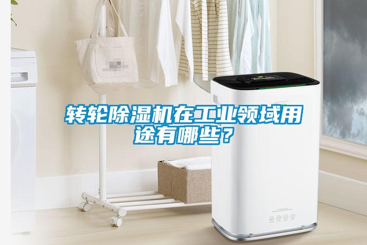 轉輪除濕機在工業(yè)領域用途有哪些?