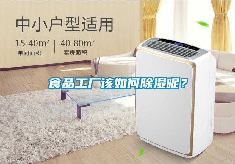 食品工廠該如何除濕呢?