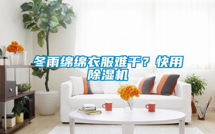 冬雨綿綿衣服難干<div   id=