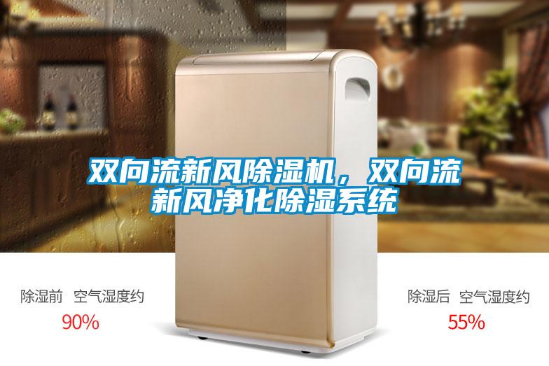 雙向流新風(fēng)除濕機(jī)<div   id=