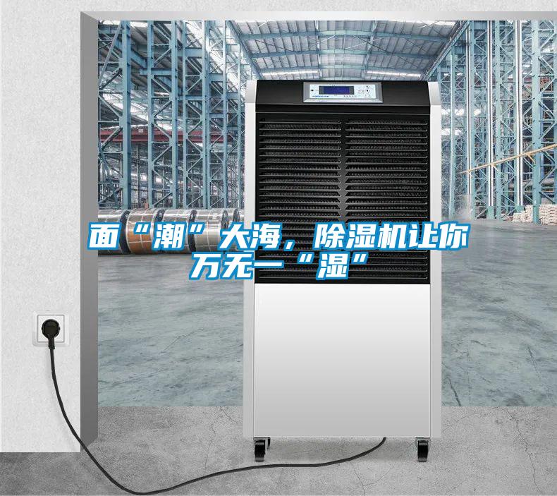 面“潮”大海,除濕機(jī)讓你萬無一“濕”