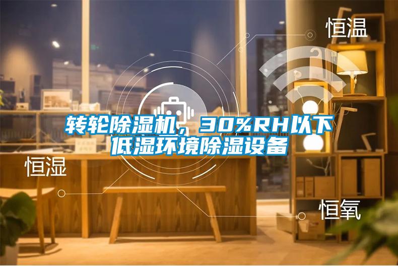轉(zhuǎn)輪除濕機(jī)<div   id=