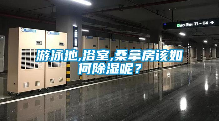 游泳池,浴室,桑拿房該如何除濕呢?