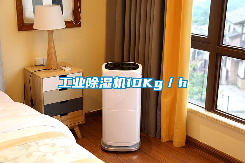 工業(yè)除濕機10Kg/h