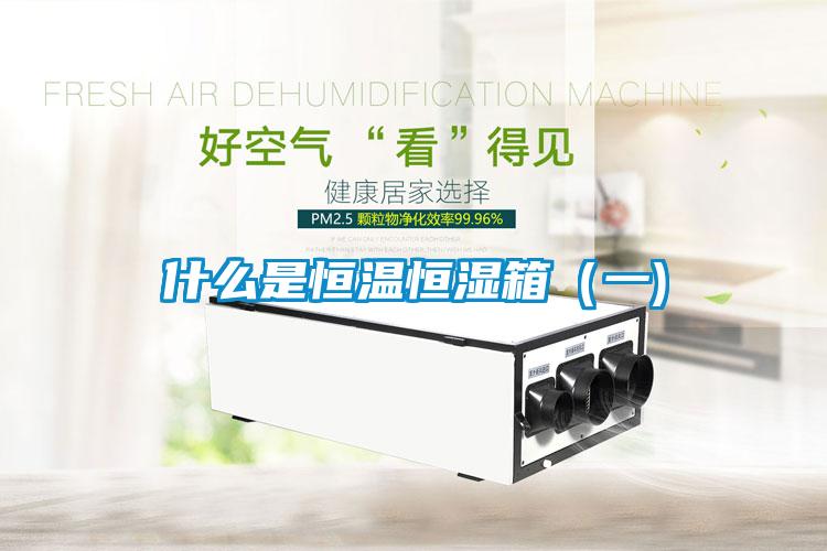 什么是恒溫恒濕箱(一)