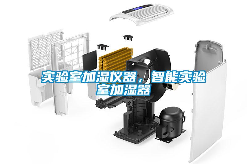 實(shí)驗(yàn)室加濕儀器<div   id=