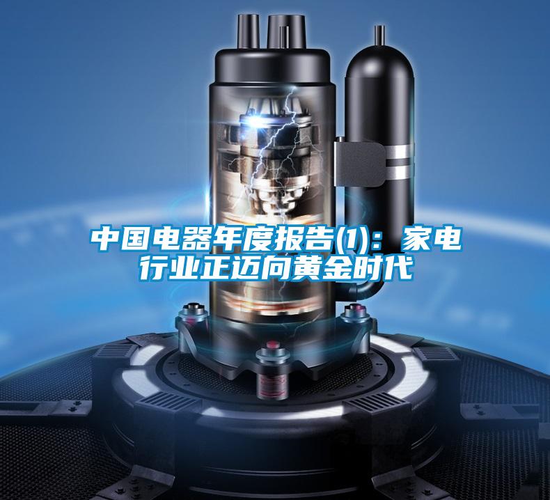 中國(guó)電器年度報(bào)告(1):家電行業(yè)正邁向黃金時(shí)代