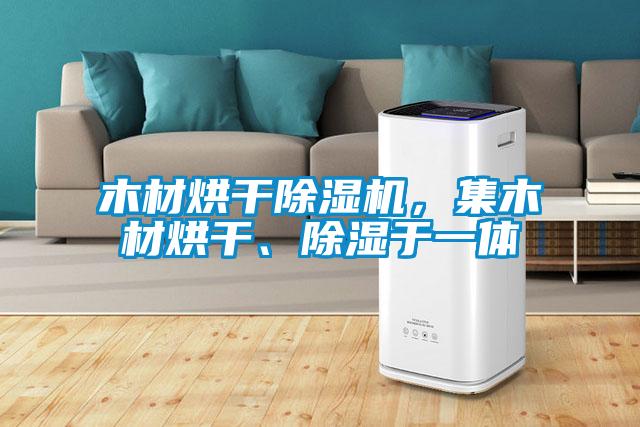 木材烘干除濕機(jī)<div   id=