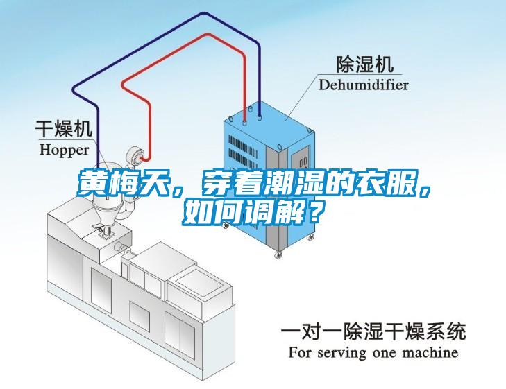 黃梅天<div   id=