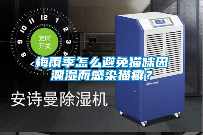 梅雨季怎么避免貓咪因潮濕而感染貓癬<div   id=