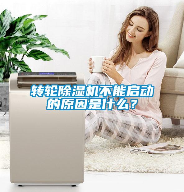 轉(zhuǎn)輪除濕機(jī)不能啟動的原因是什么?
