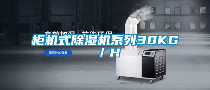 柜機(jī)式除濕機(jī)系列30KG/H