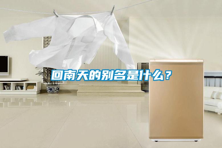 回南天的別名是什么<div   id=