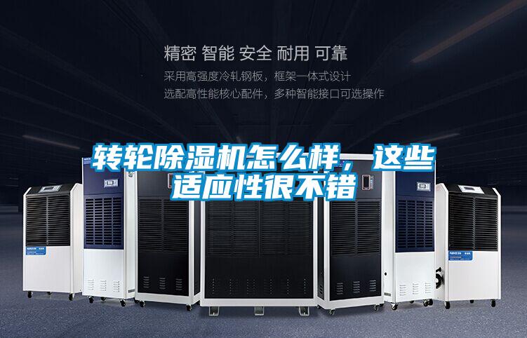 轉(zhuǎn)輪除濕機(jī)怎么樣<div   id=