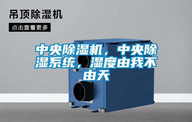 中央除濕機(jī)，中央除濕系統(tǒng)<div   id=