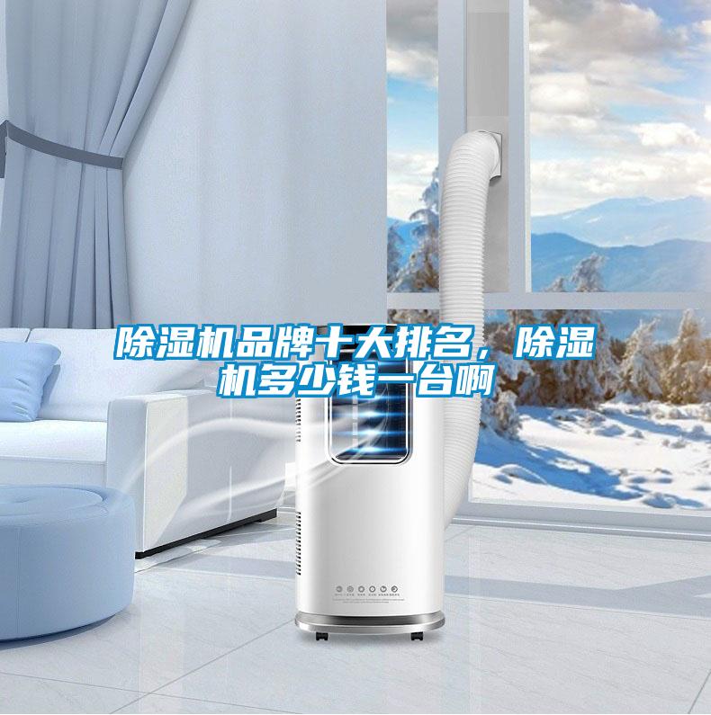 除濕機品牌十大排名<div   id=