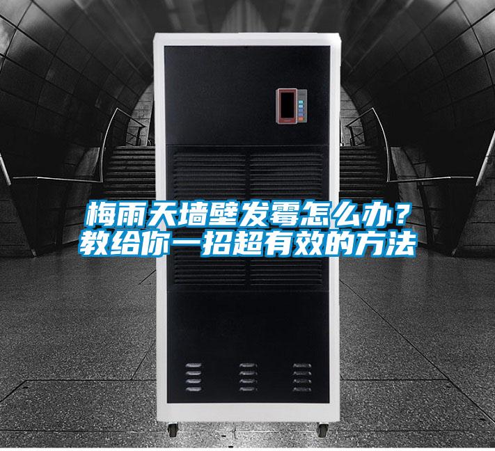 梅雨天墻壁發(fā)霉怎么辦<div   id=