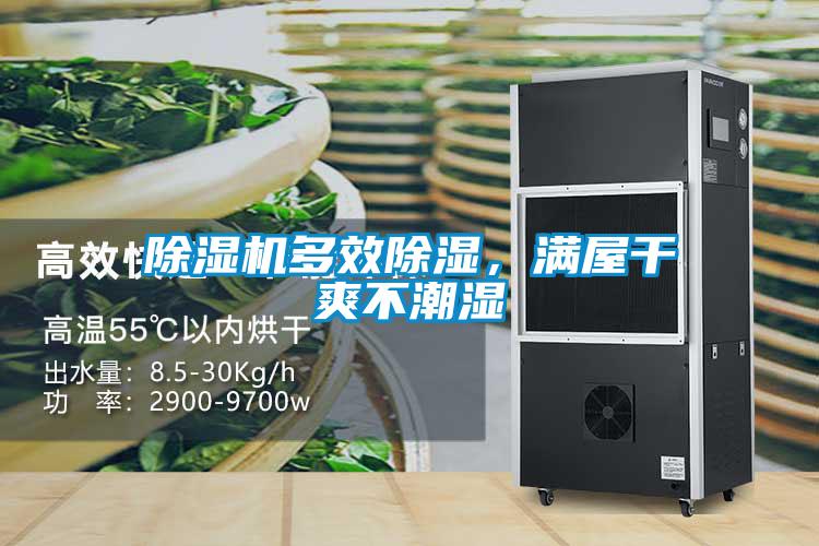 除濕機多效除濕<div   id=