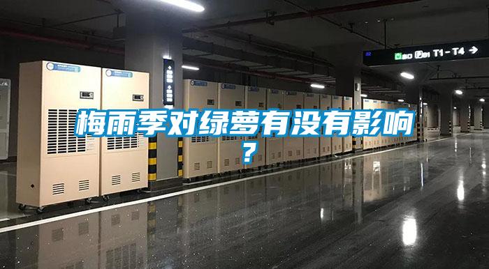梅雨季對(duì)綠蘿有沒(méi)有影響<div   id=