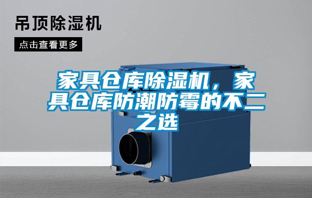 家具倉庫除濕機(jī)<div   id=
