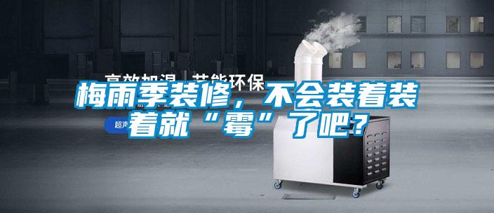 梅雨季裝修，不會(huì)裝著裝著就“霉”了吧<div   id=